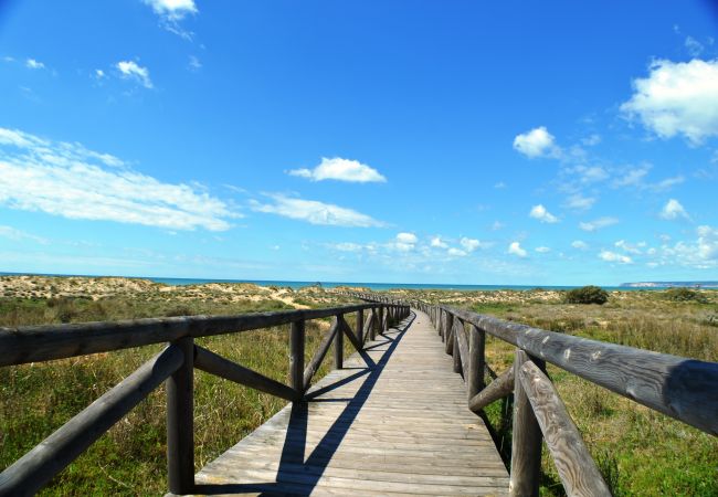 Ámbar - PLAYA DE ZAHARA