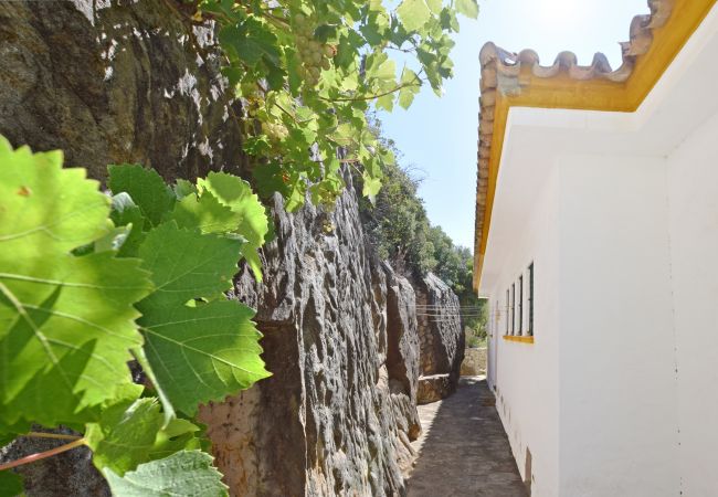 Villa del Mar - Patio trasero