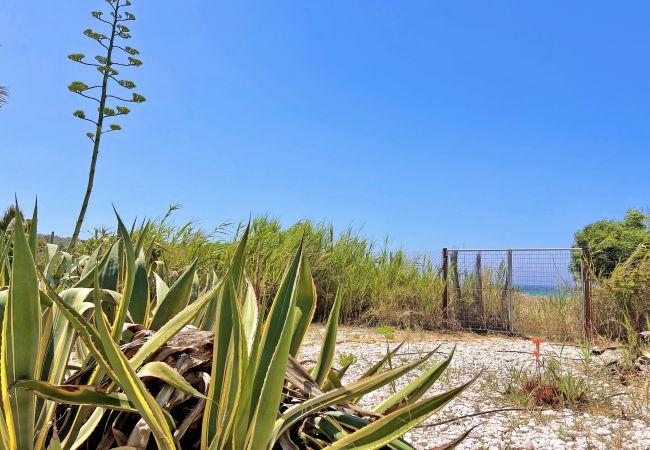 La Caleta - Acceso-salidaplaya