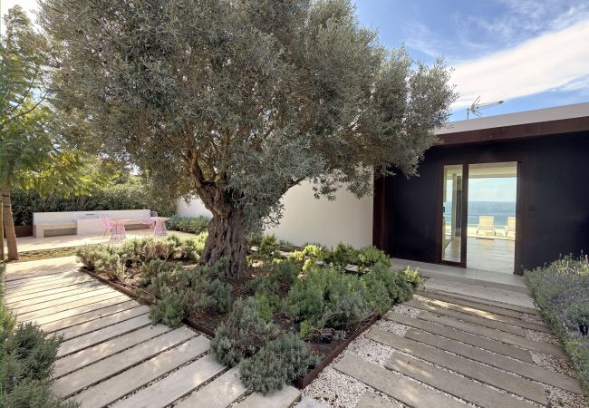 Adamar - IMG_3123Copiar