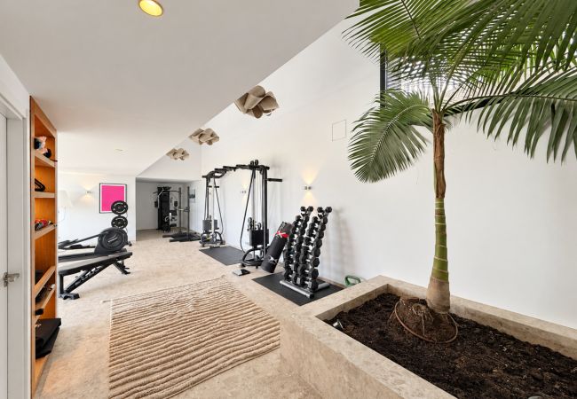 Adamar - GYM_3_mejorada_web