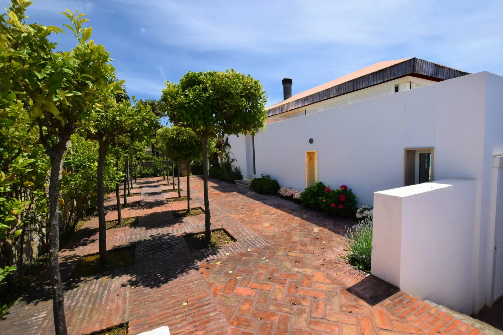Barbaria - Patio Exterior