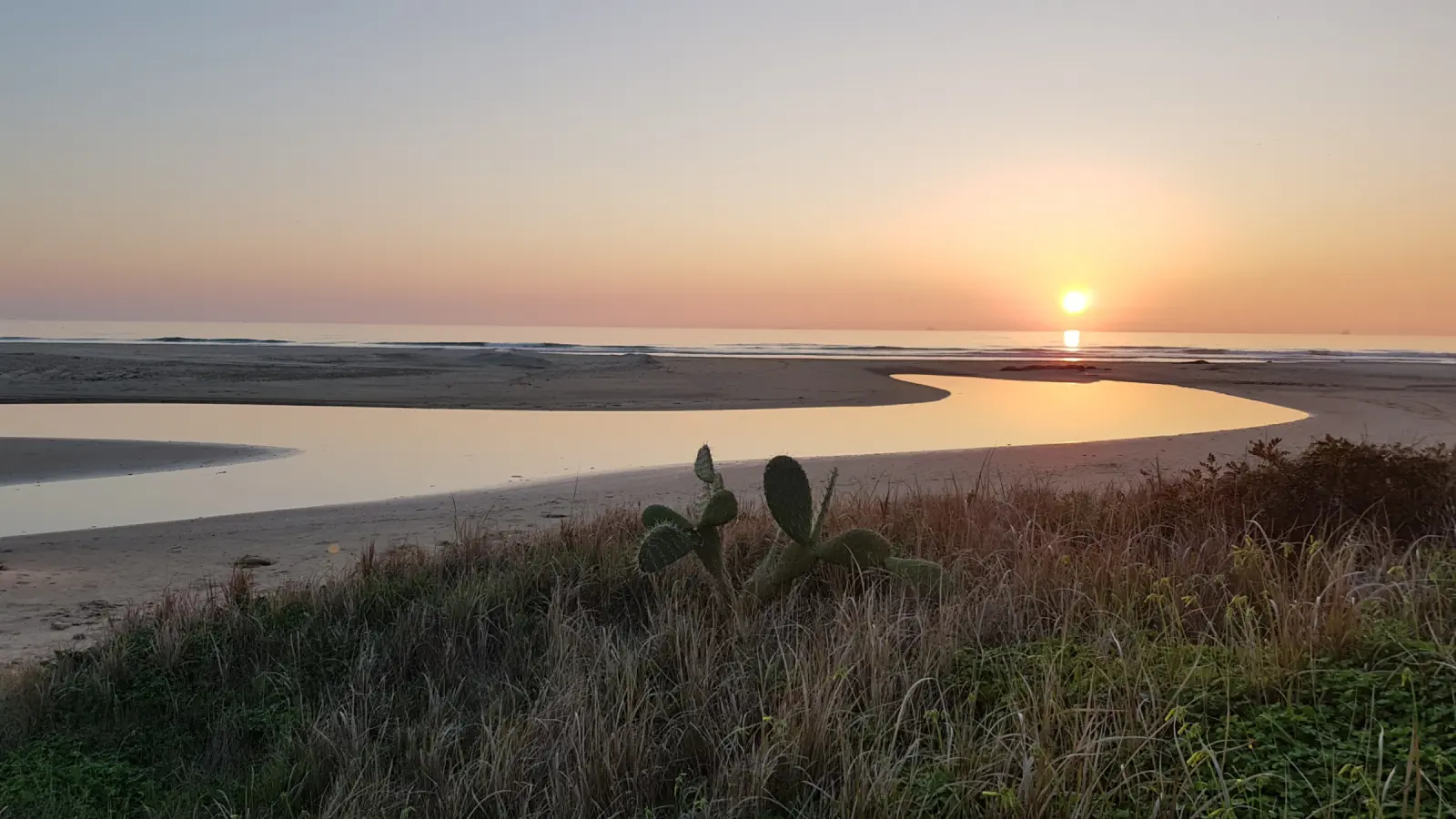 El Pancho - PLAYA