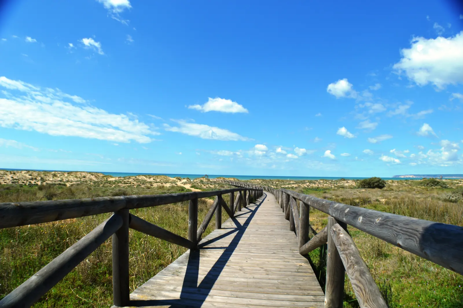 Ámbar - PLAYA DE ZAHARA