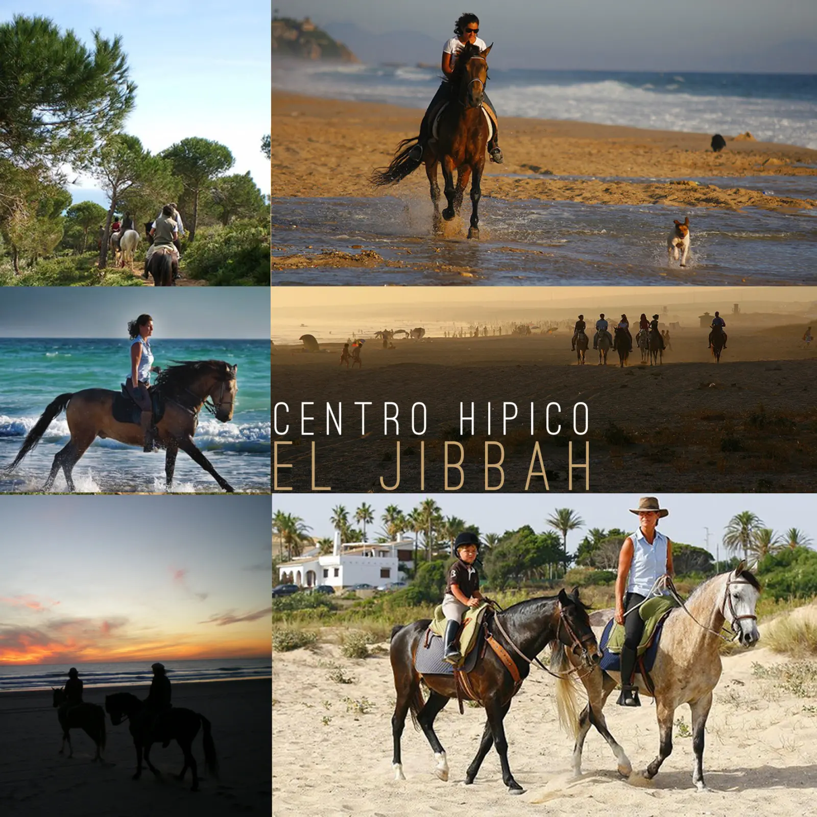 La Perla - Paseos a caballo