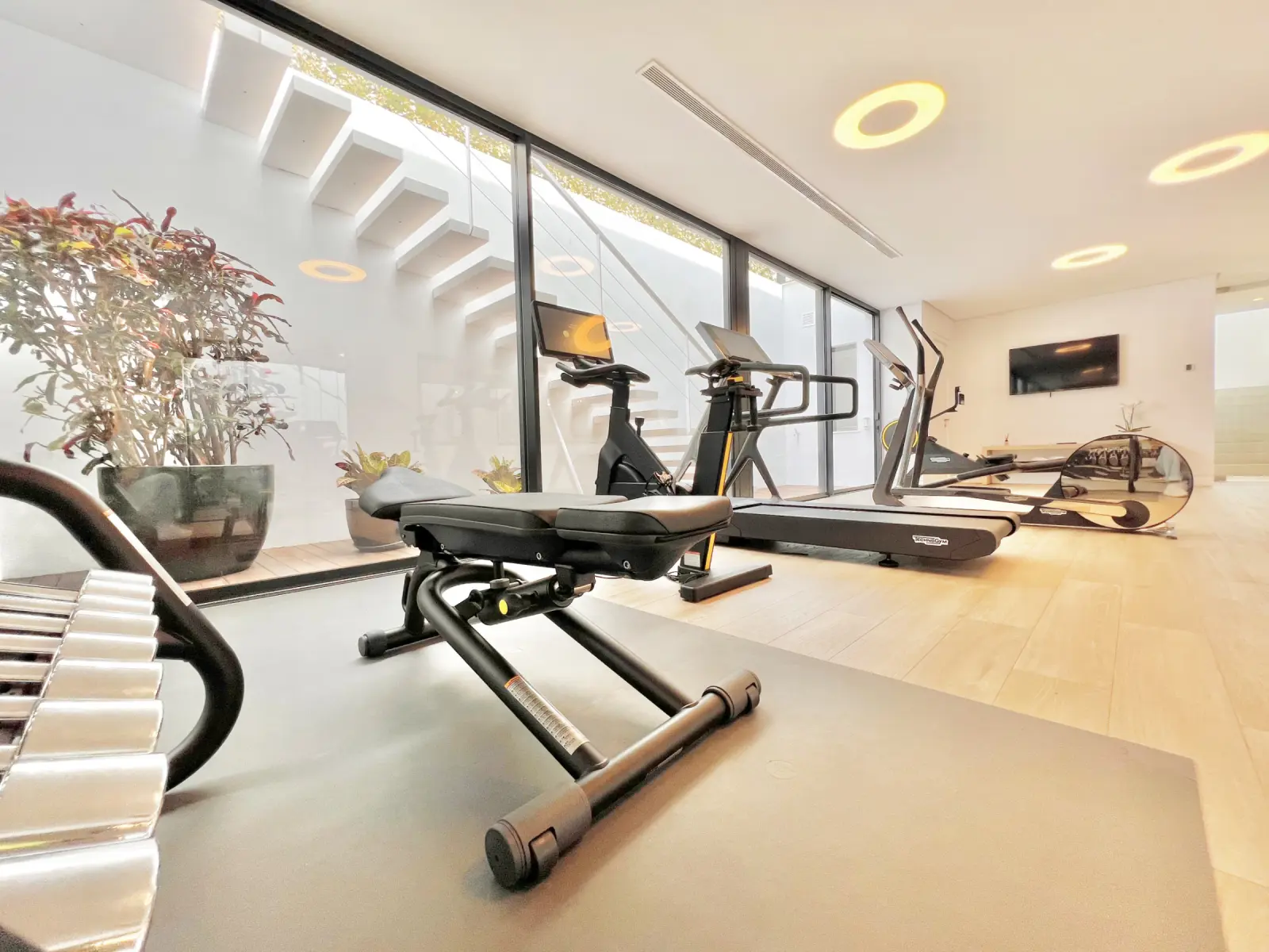 Entrefaros - Gimnasio