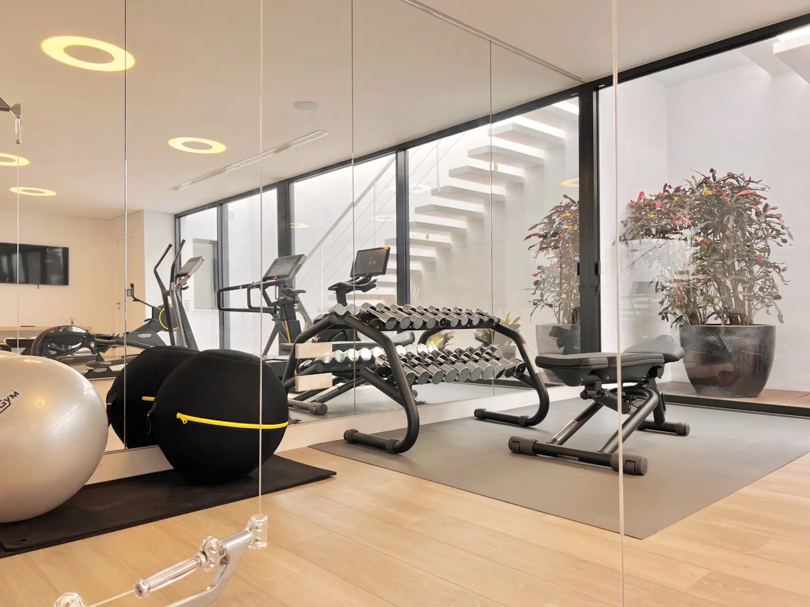 Entrefaros - Gimnasio