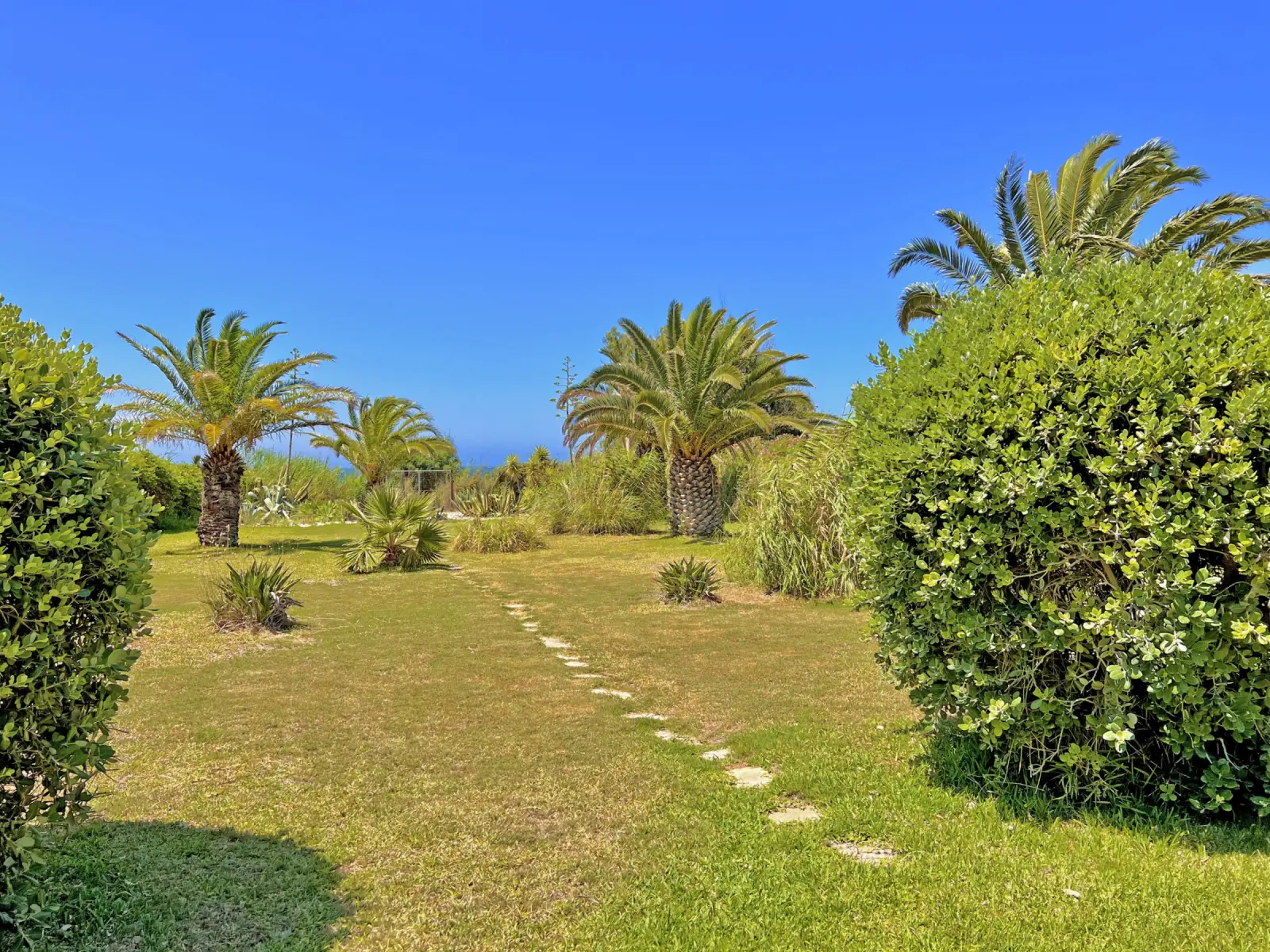 La Caleta - Jardn-cancelaplaya
