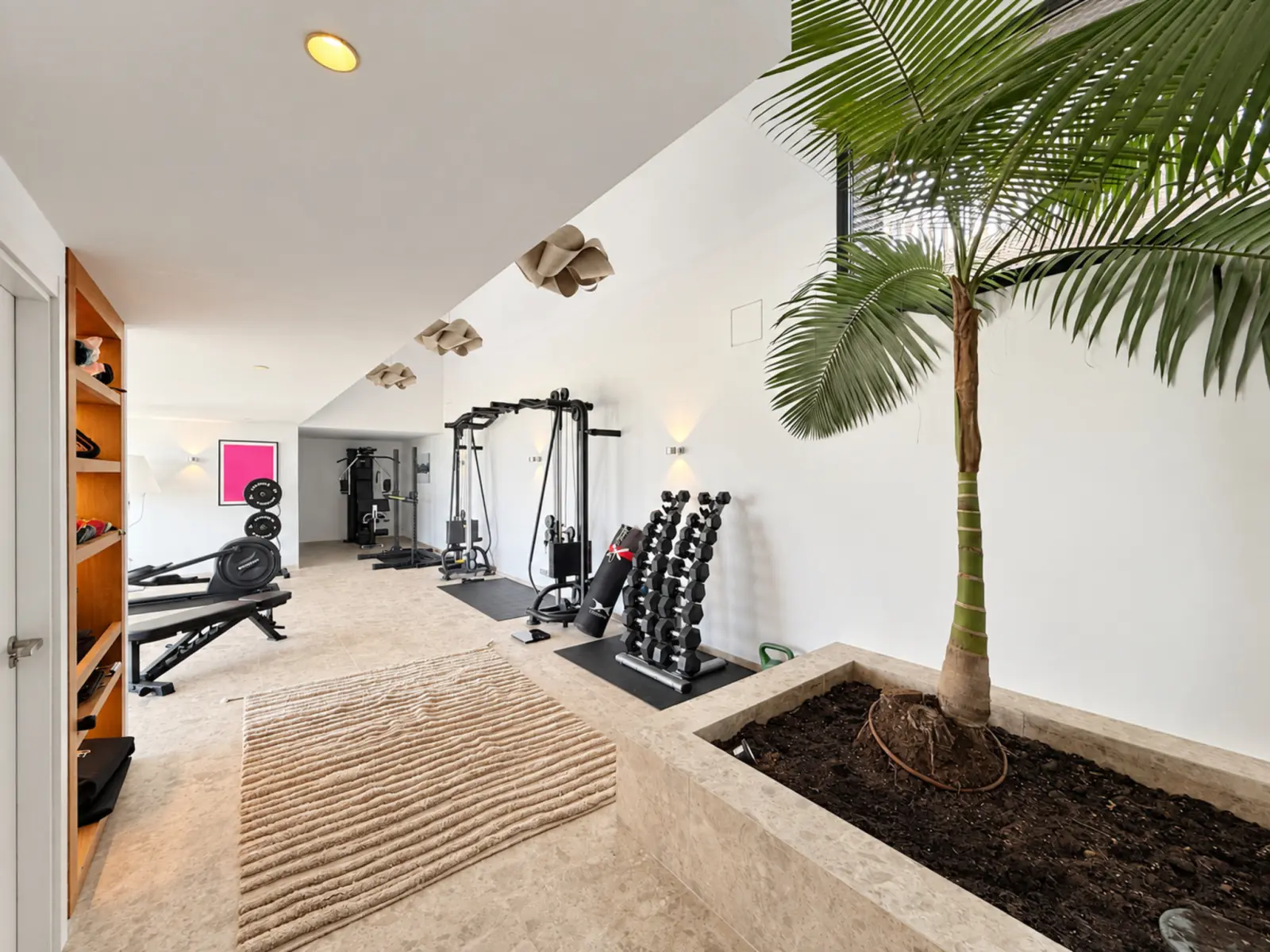 Adamar - GYM_3_mejorada_web