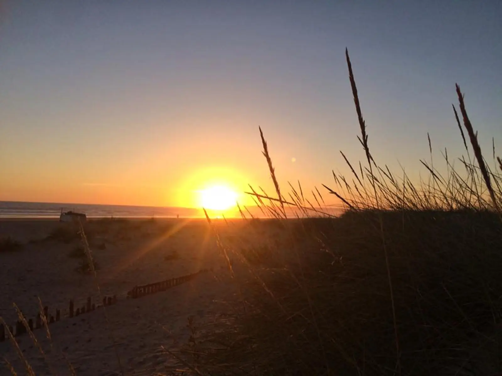 Buddha - PLAYA